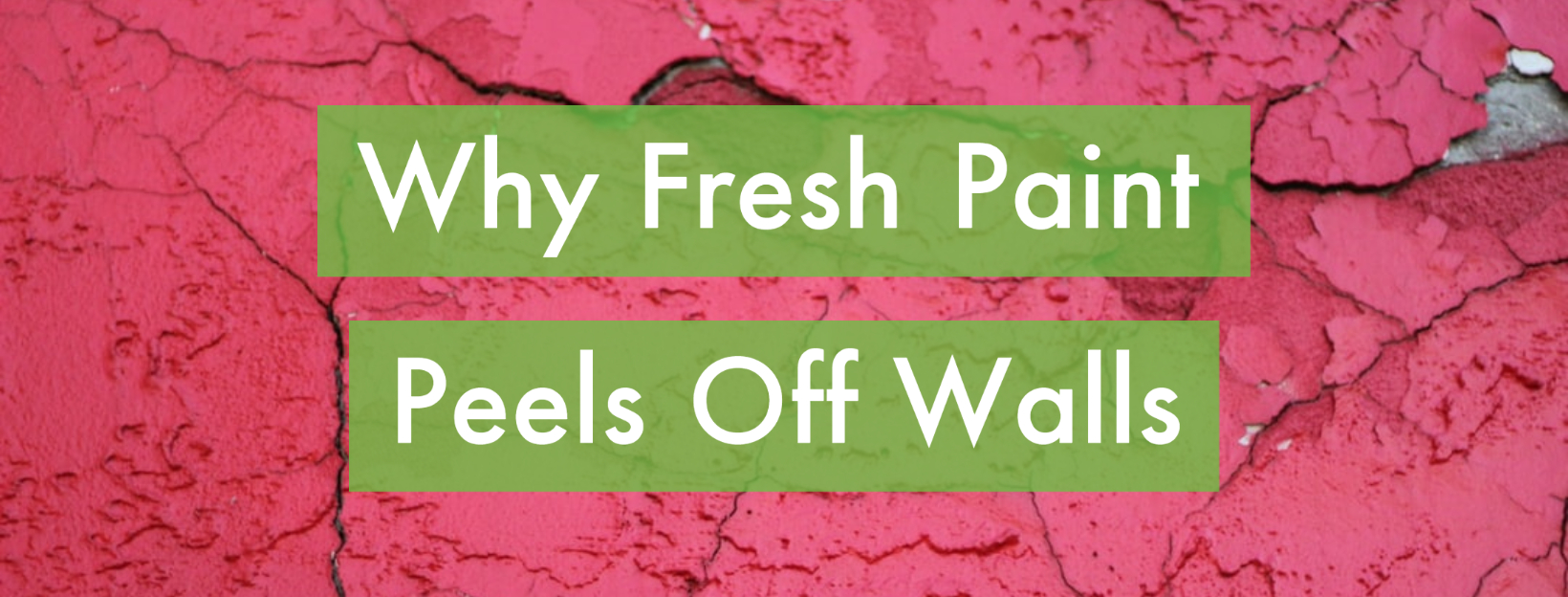 Why Fresh Paint Peels Off Walls Home Painters Toronto