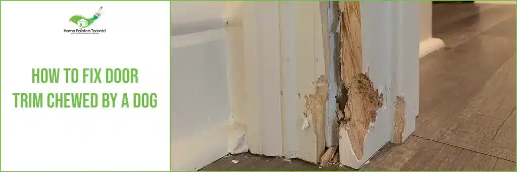 How To Fix Door Trim Chewed By A Dog