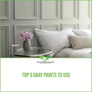 Top 5 Gray Paints to Use in 2024