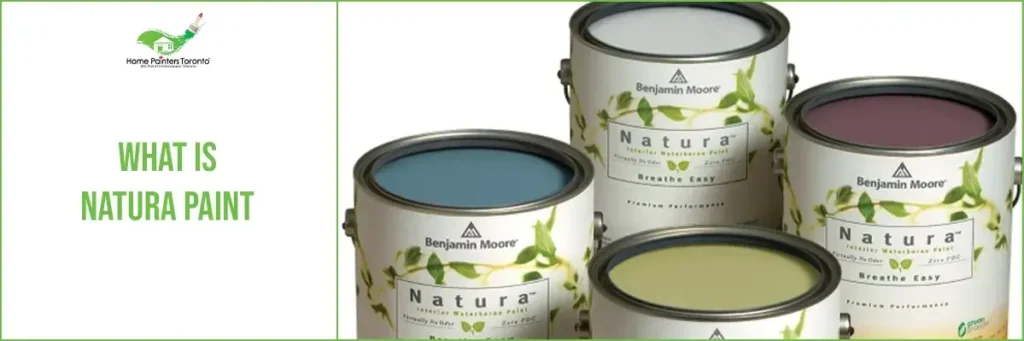 What Is Natura Paint?