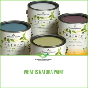 What Is Natura Paint?