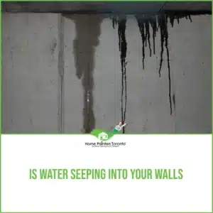 Is Water Seeping Into Your Walls?