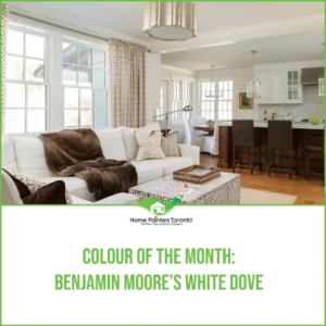 Colour of the Month Image